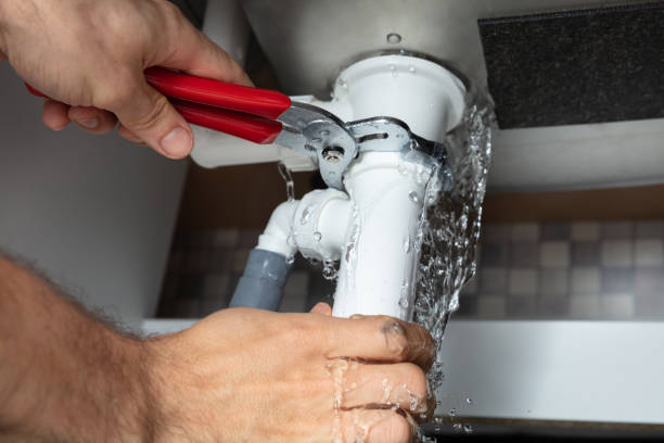 Best Professional water damage repair  in Langley, WA