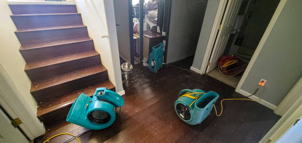 Best Water damage restoration company  in Langley, WA