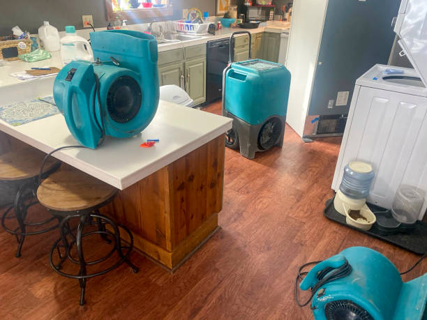 Best Commercial water damage restoration  in Langley, WA