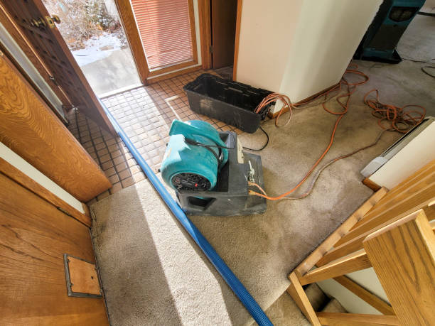 Best Water damage restoration near me  in Langley, WA