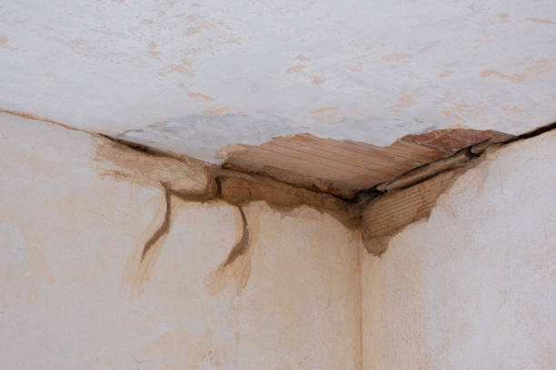 Best 24-hour water damage restoration  in Langley, WA