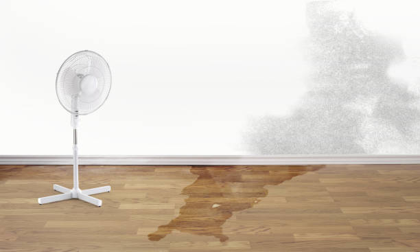 Local water damage restoration in Langley, WA