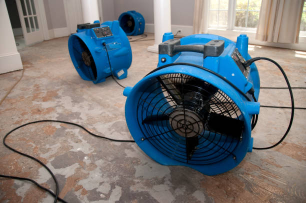 Best Residential water damage restoration  in Langley, WA