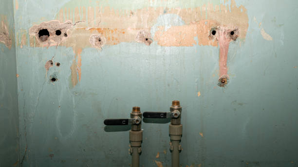 Reliable Langley, WA Water damage restoration Solutions