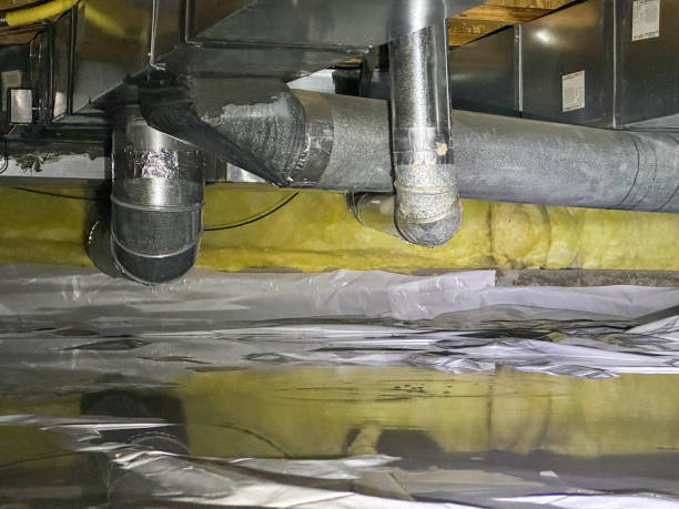 Best Flood damage cleanup  in Langley, WA