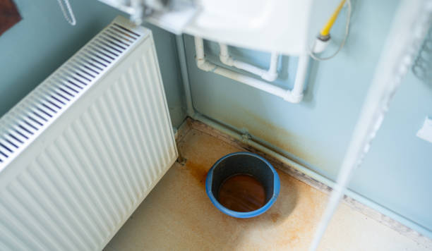 Best Mold removal after water damage  in Langley, WA