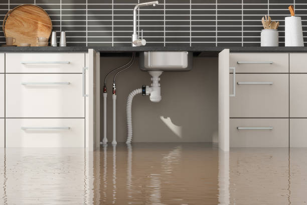 Best Sewage cleanup and water damage restoration  in Langley, WA
